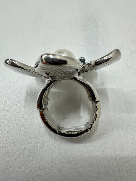 aerial view back of ring