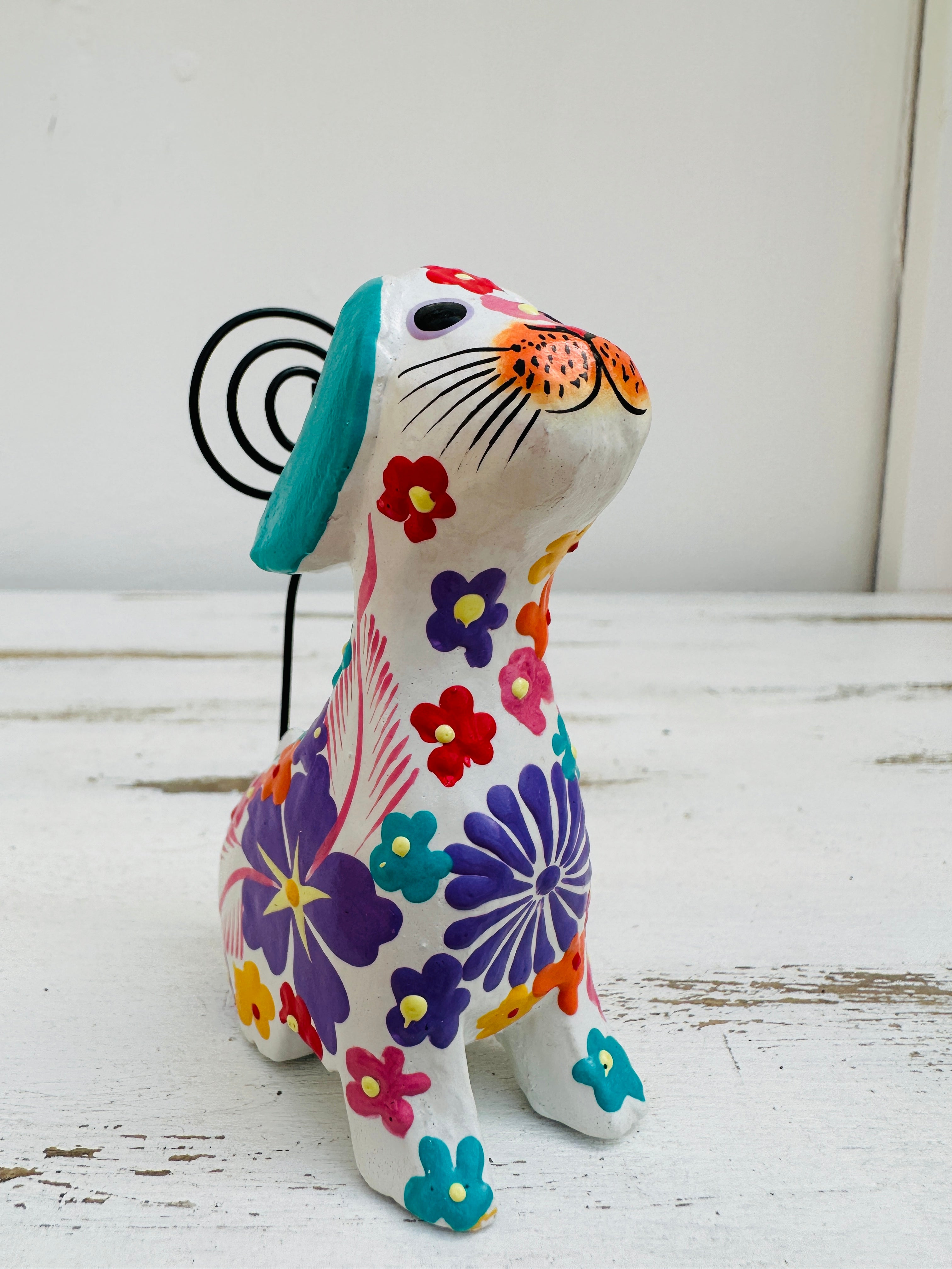 side close up of flower dog in white