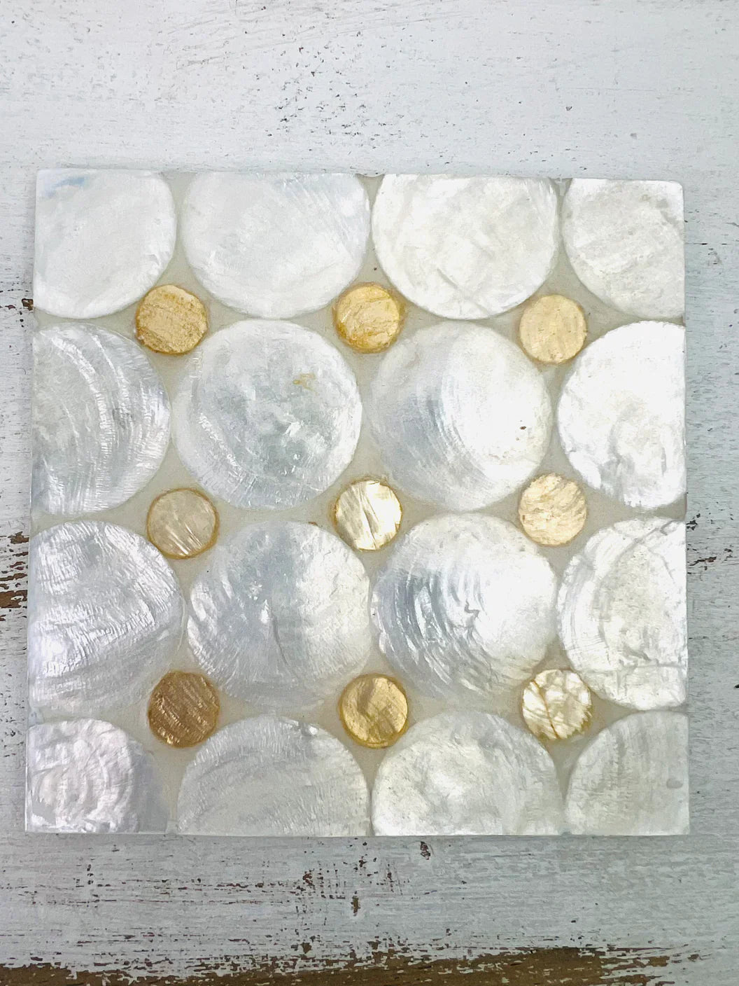Shell Coasters– The Red Gecko UK