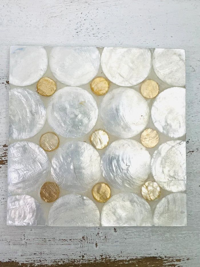 Shell Coasters