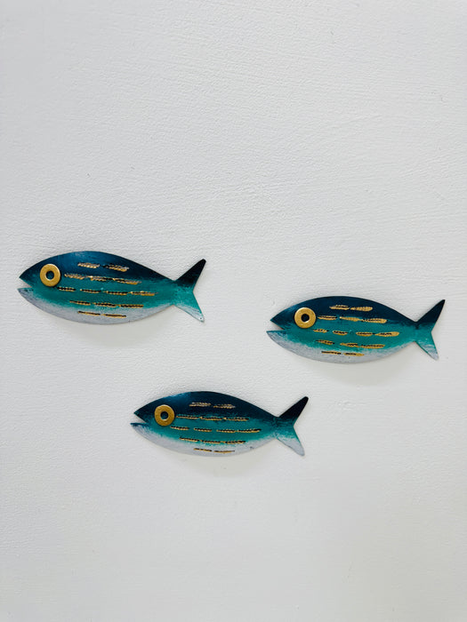 Single Striped Aqua Fish