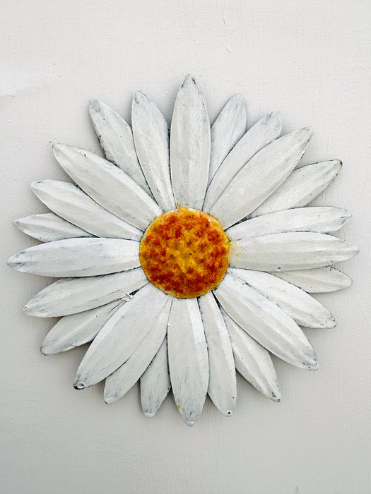 Daisy Flower