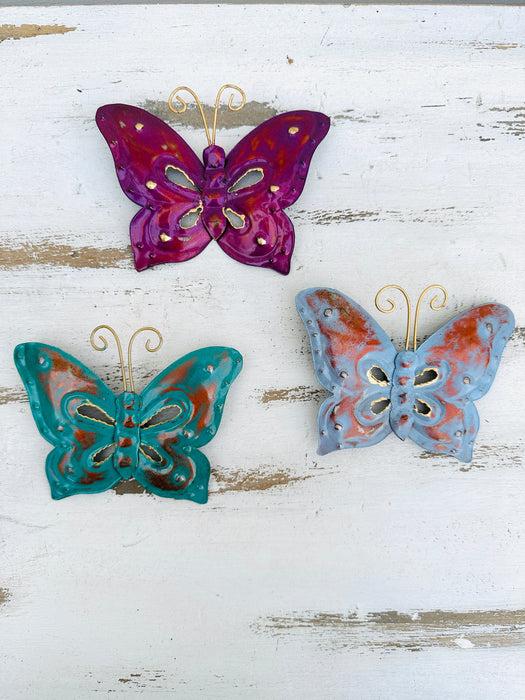 aerial front view set of assorted 3 butterflies