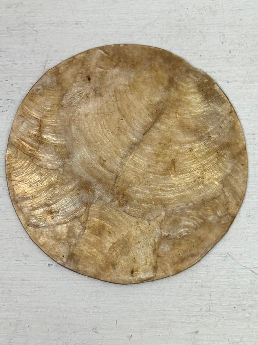 Golden Round Pearl Shell Coaster