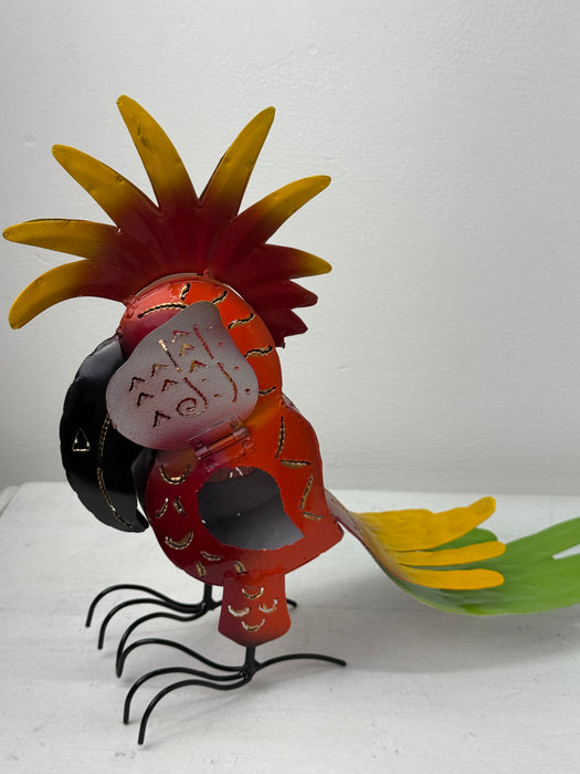 Parrot Lantern