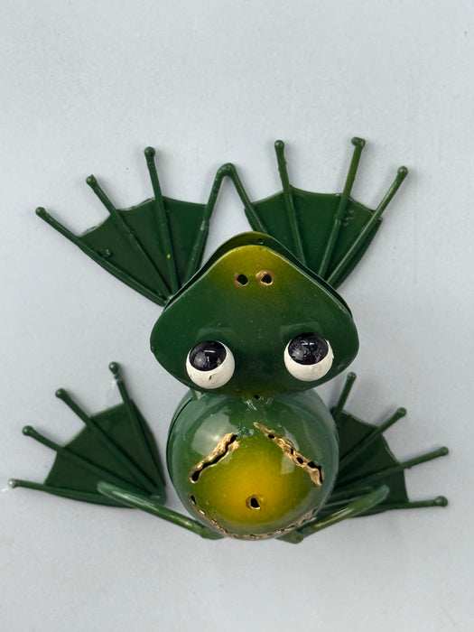 Frog Magnet