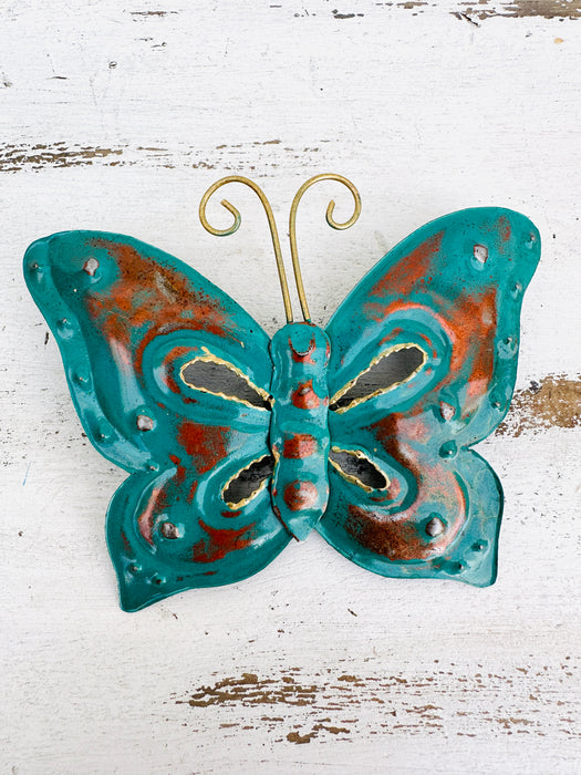 aerial view of turquoise butterfly