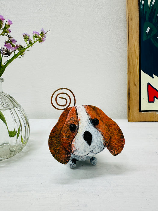 Chien - Lola