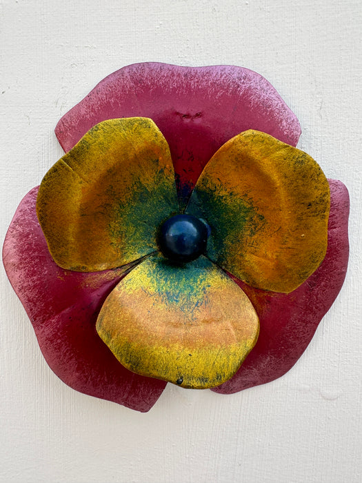 Pansy - Red Yellow
