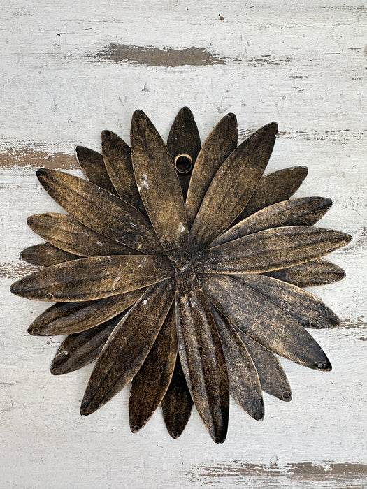 Daisy Flower