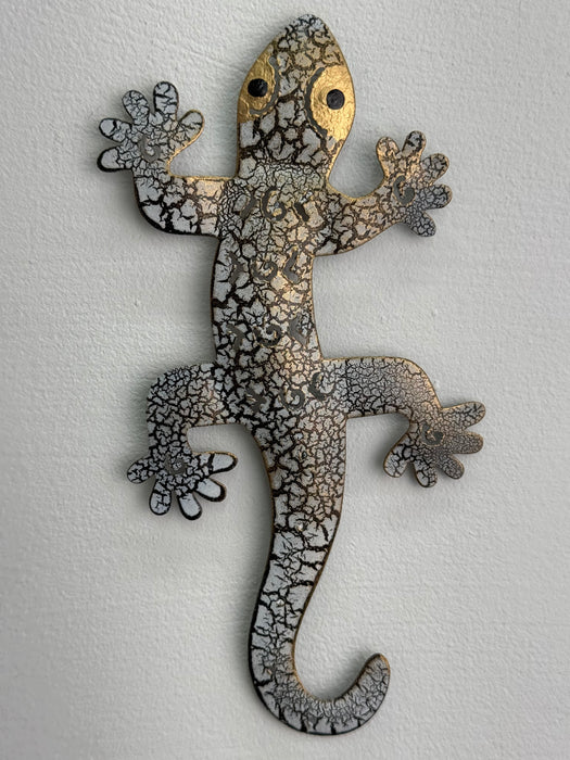 Medium Crackle Gecko