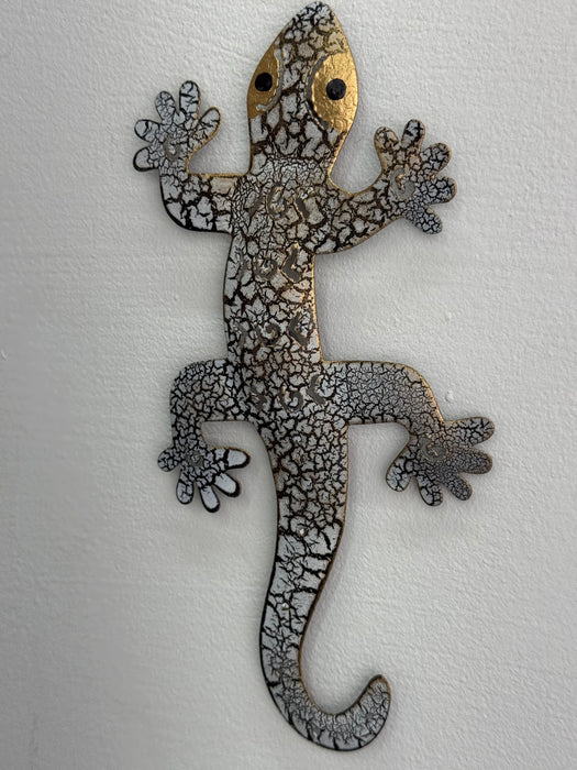 Medium Crackle Gecko