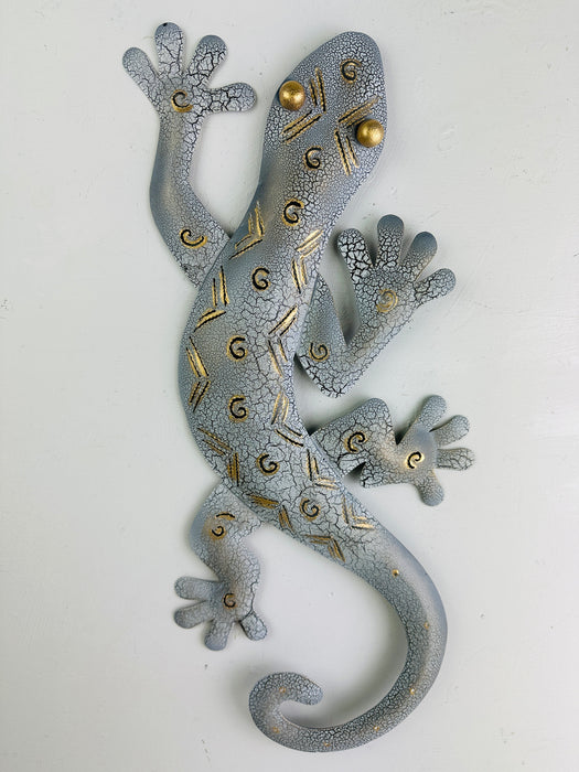 front view of crackle gecko on white wall
