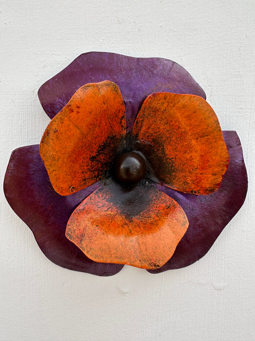 Pansy - Purple Orange