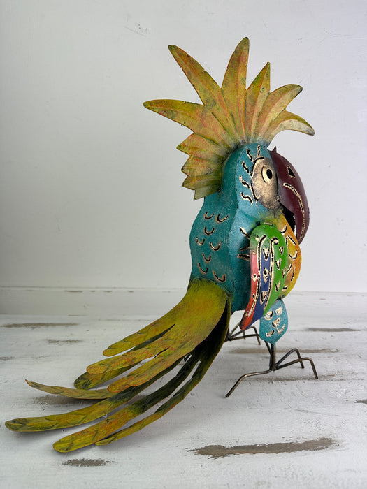 Cockatoo Lantern