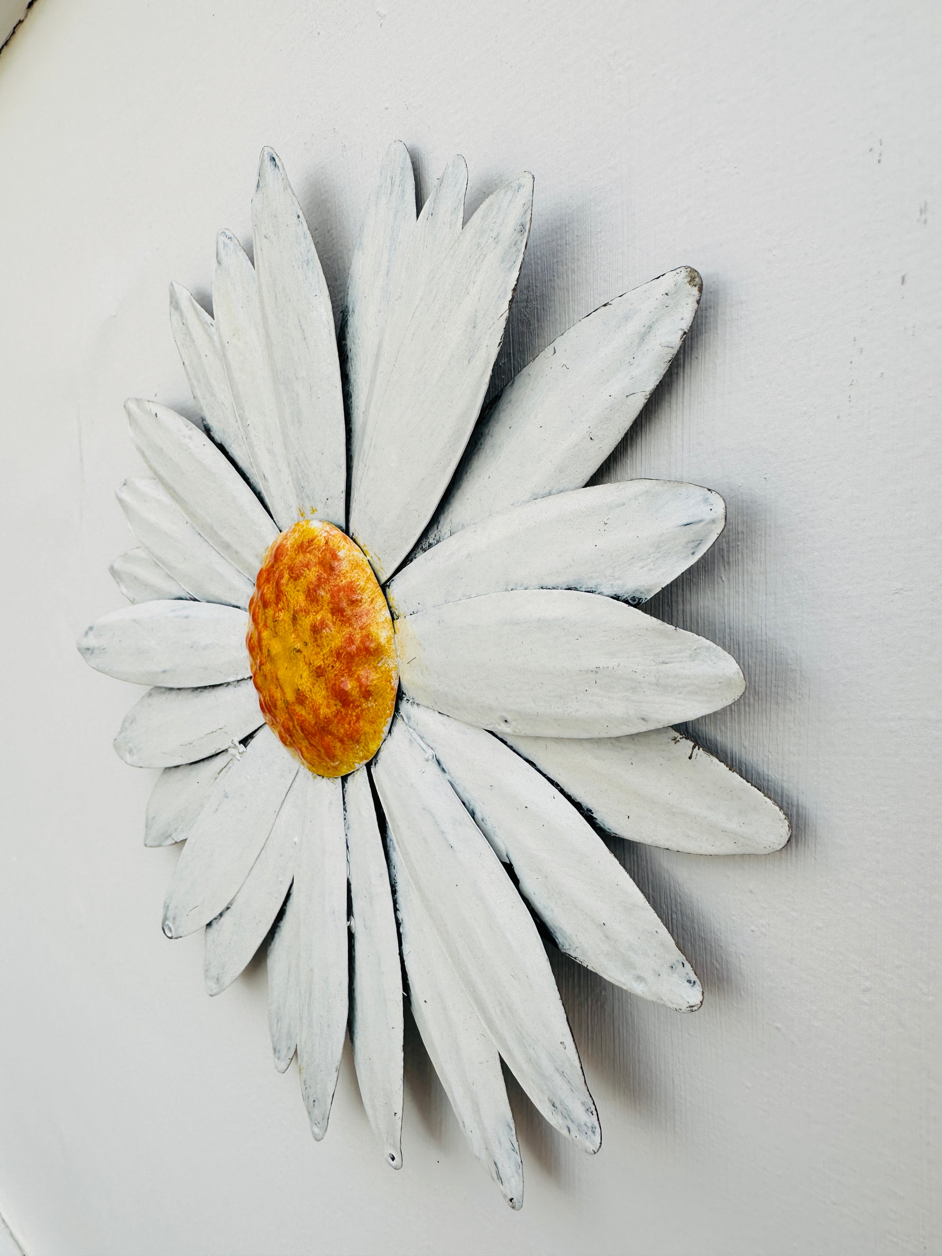 side close up of daisy flower