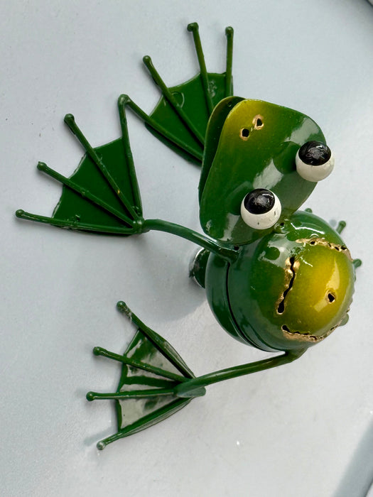 Frog Magnet