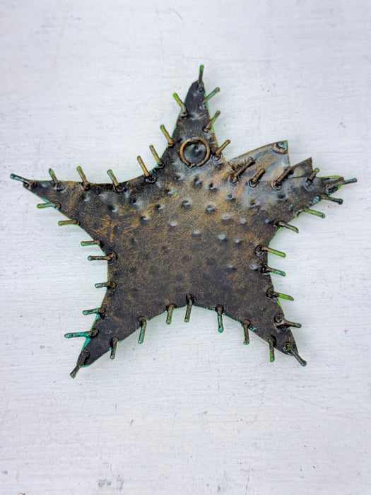 Starfish - Green