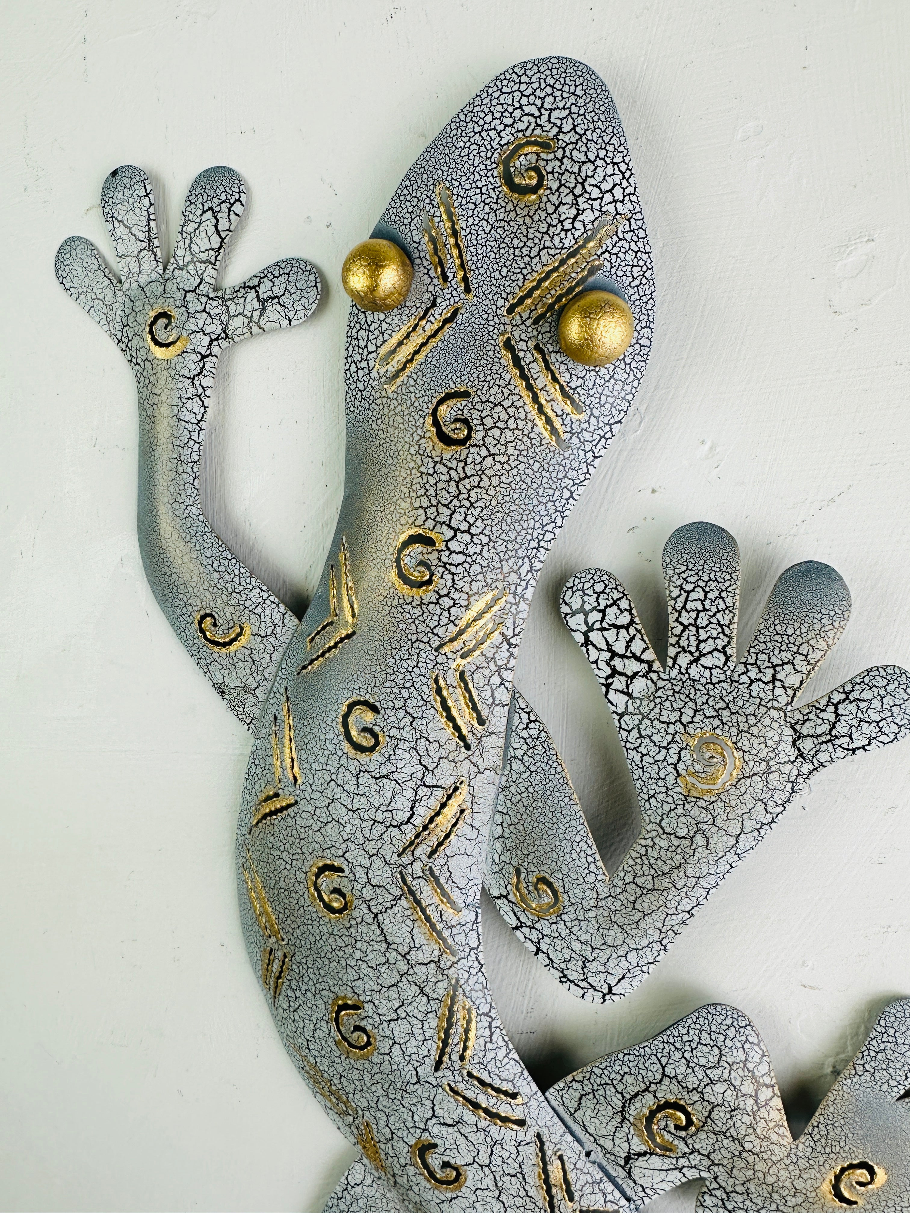 close up view of crackle gecko