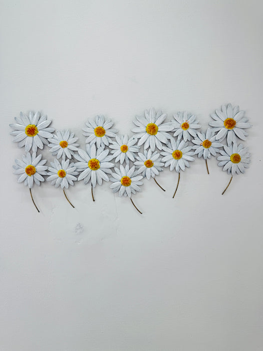 Field of Daisies