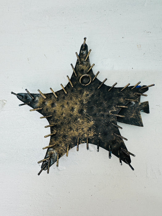 Starfish - Blue