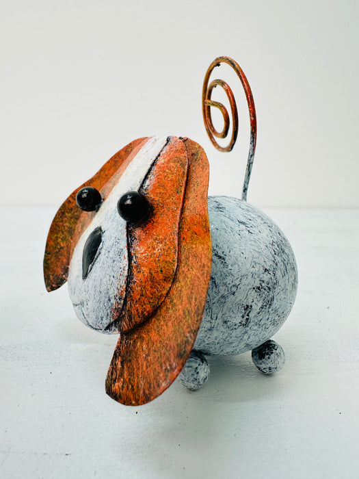 Chien - Lola