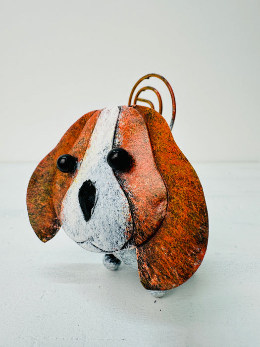 Chien - Lola