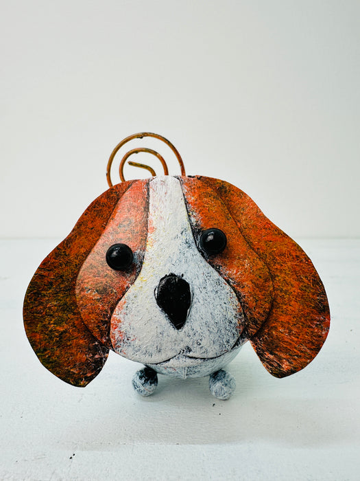 Chien - Lola