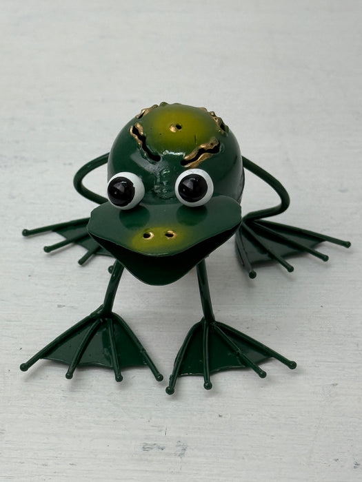 Frog Magnet