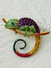 multicolour crystal chameleon brooch on a branch with a spiral tail