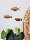 Copper and bronze metal fish wall art displayed with indoor plants on a light wall