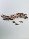 Display view of 18-piece copper metal fish shoal wall art on a white background and single 3 fish