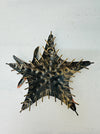 Back of metal starfish showing hanging hook