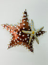 Copper starfish wall art hanging on white wall, hand-painted with raised texture