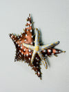 Side angle of copper starfish showing hand-painted detailing