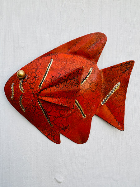 front view of single orange crackle fish