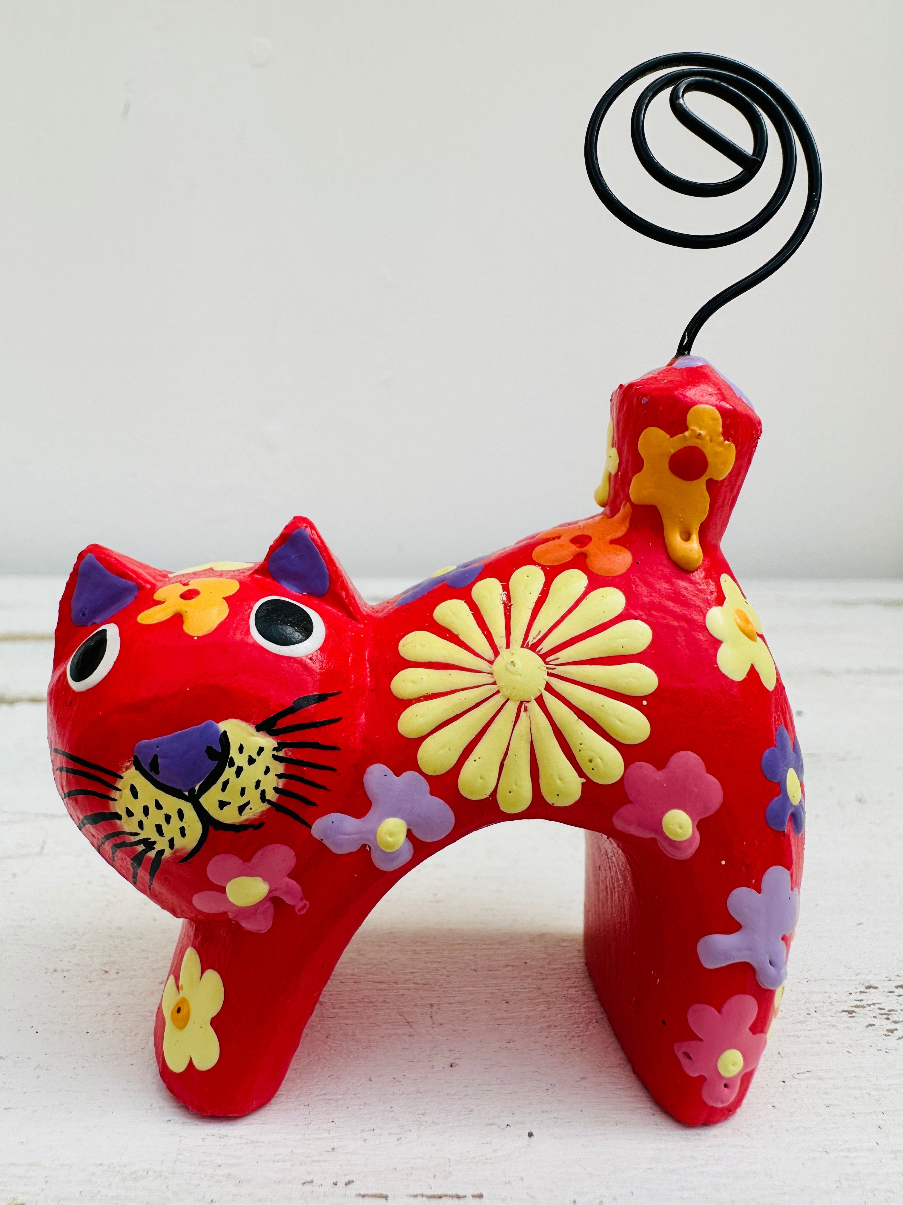 front of cat