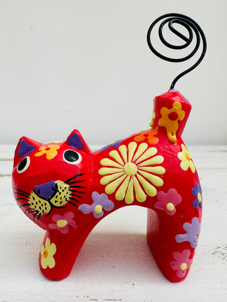 front of cat