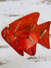 aerial view of crackle fish 