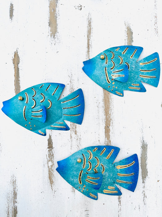 Single Reef Fish
