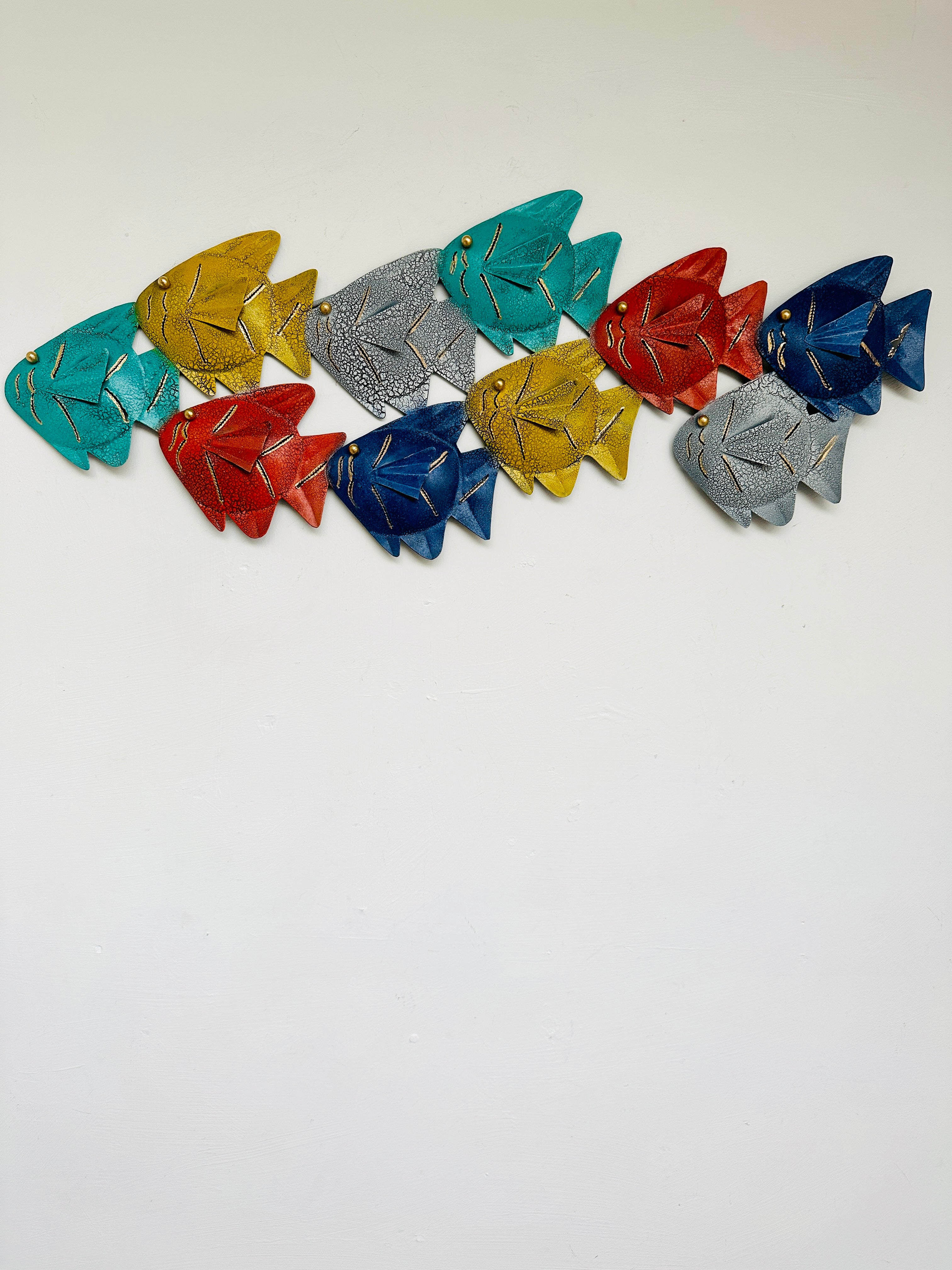 front view of rainbow fish shoal on white wall