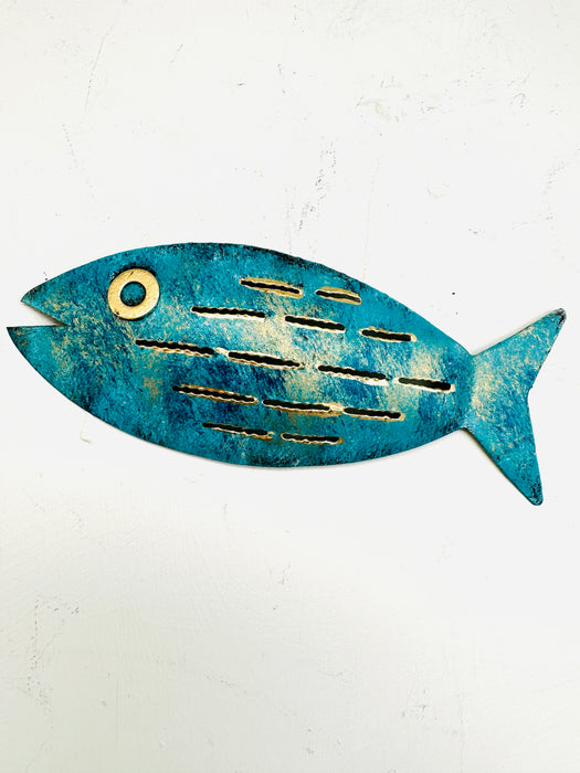 front view of aqua fish 