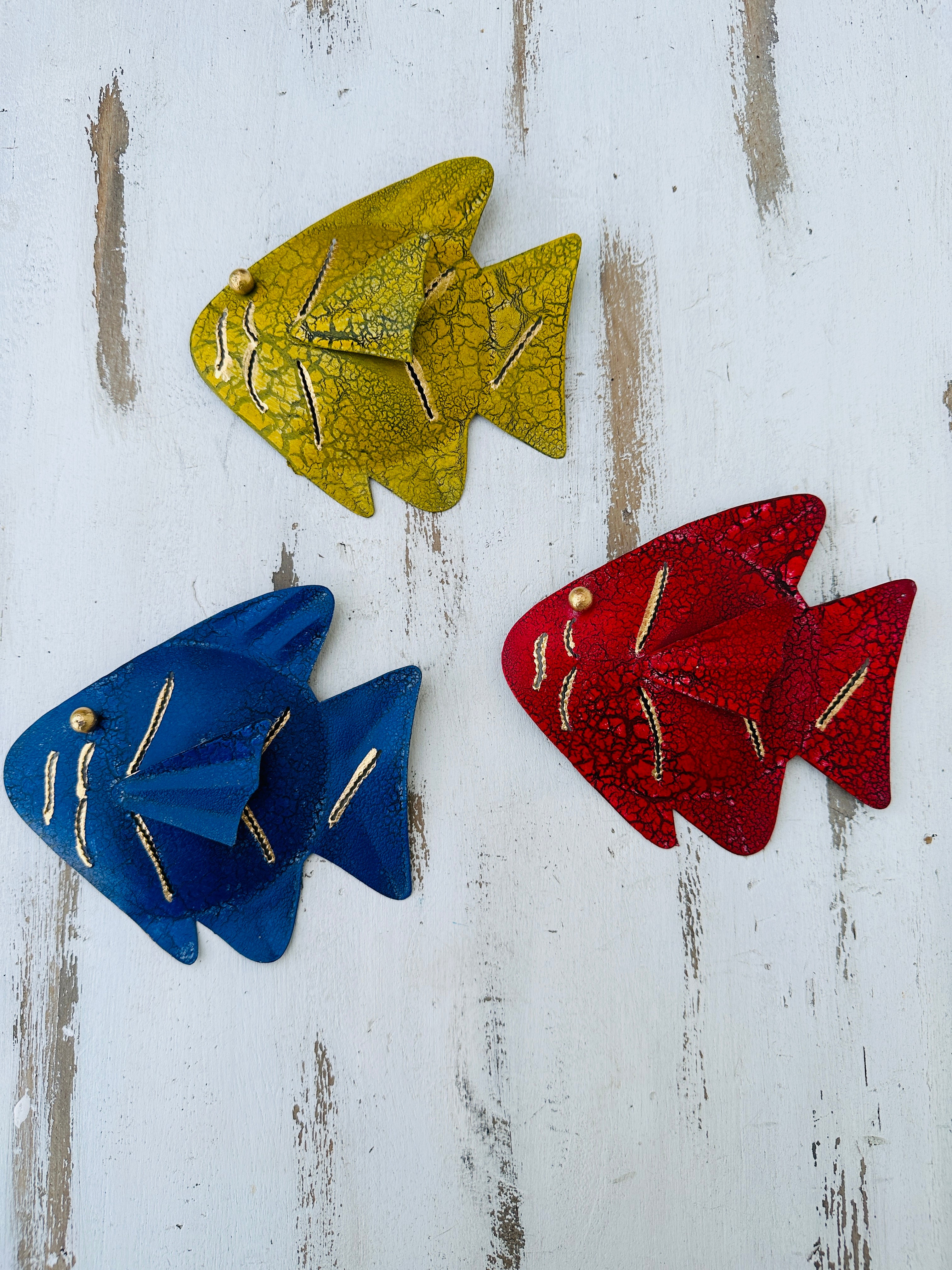 aerial view of set of 3 assorted rainbow fish