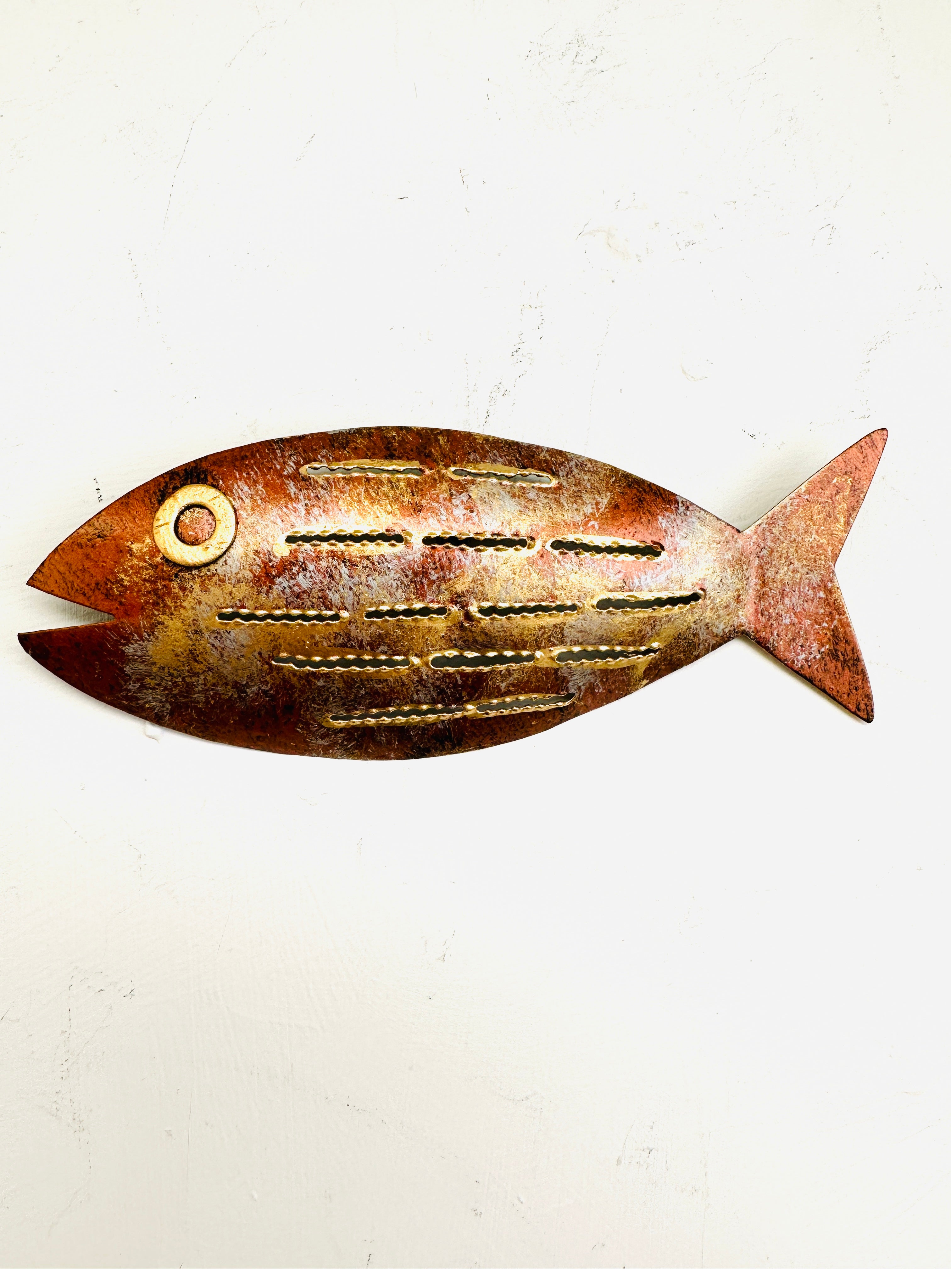 front view of copper mottled fish