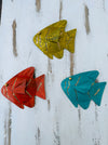aerial view of set of 3 assorted fish in different colours