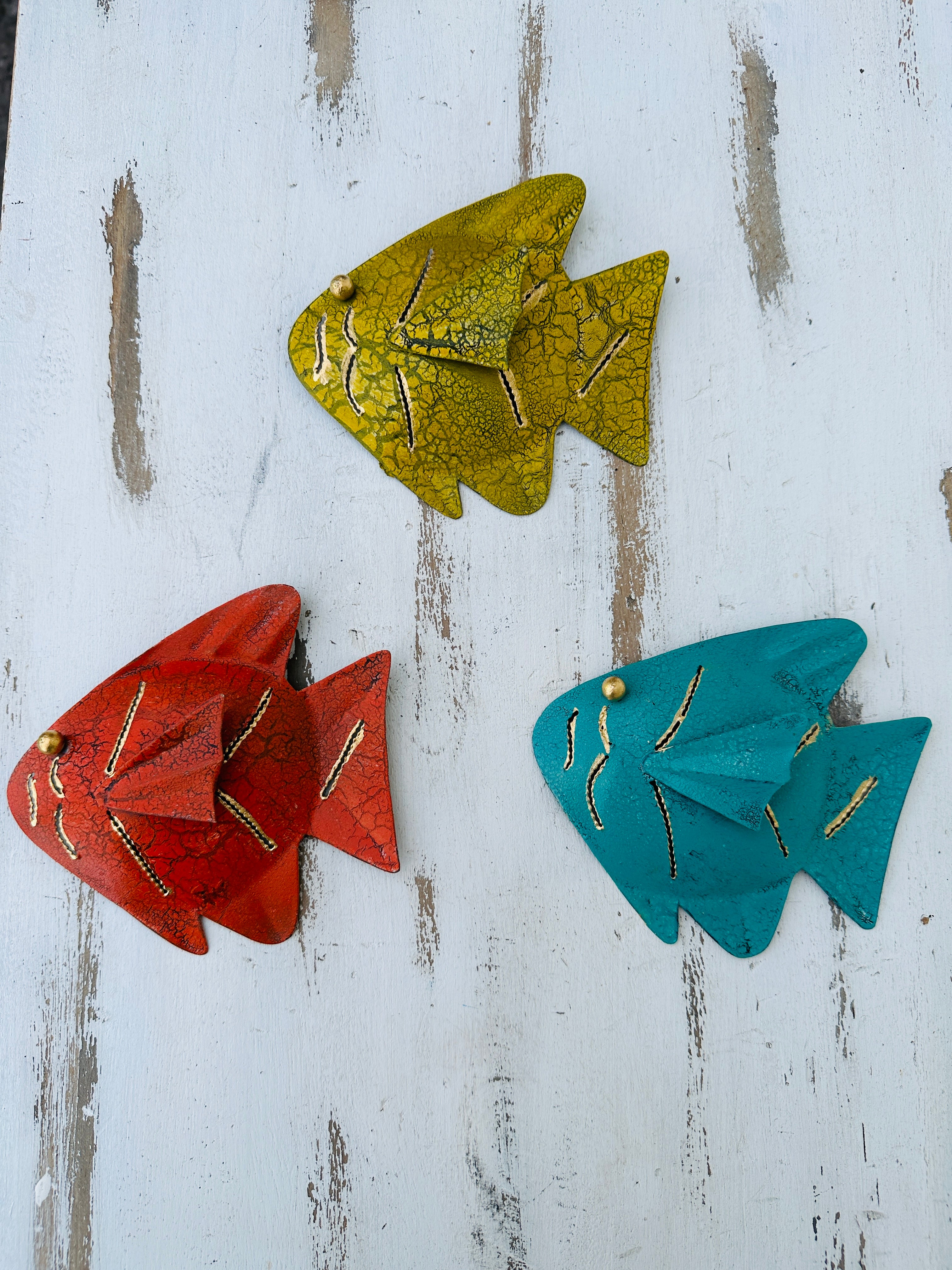 aerial view of set of 3 assorted metal rainbow fish