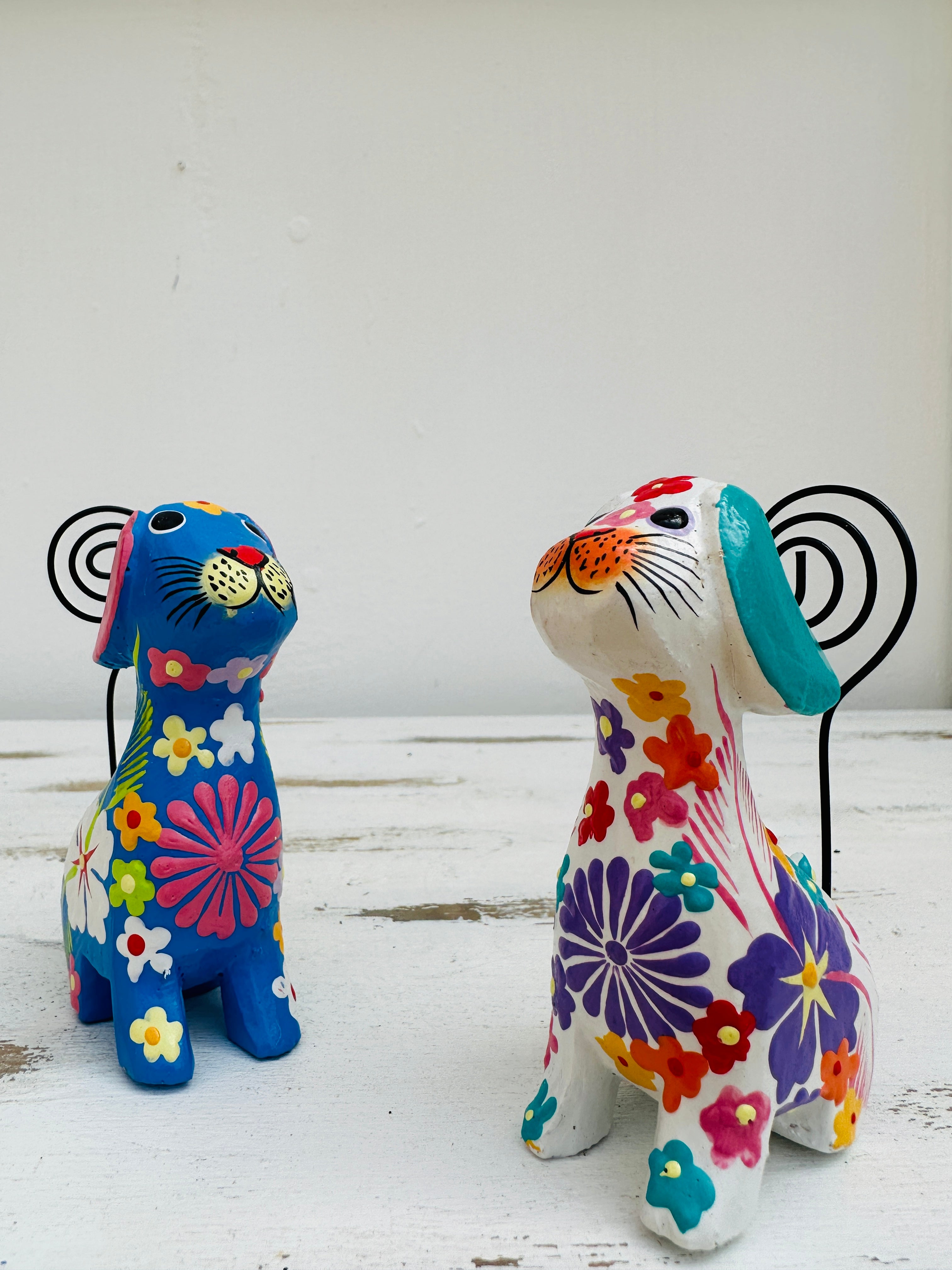 set view of flower dogs in white and blue