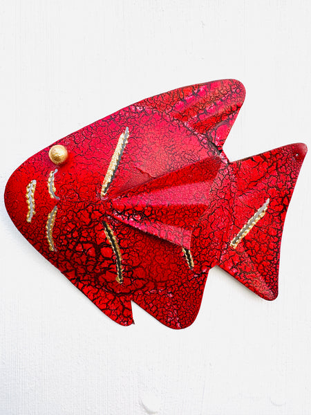 front view of rainbow fish in red