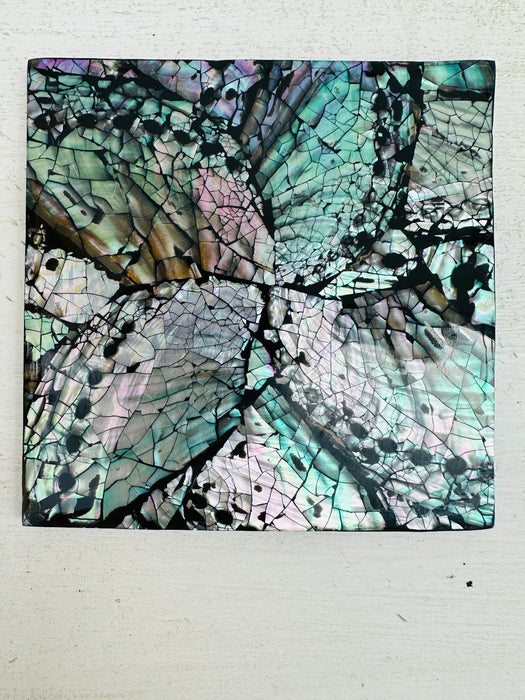 A single shell coaster with a black flower pattern on a white background.