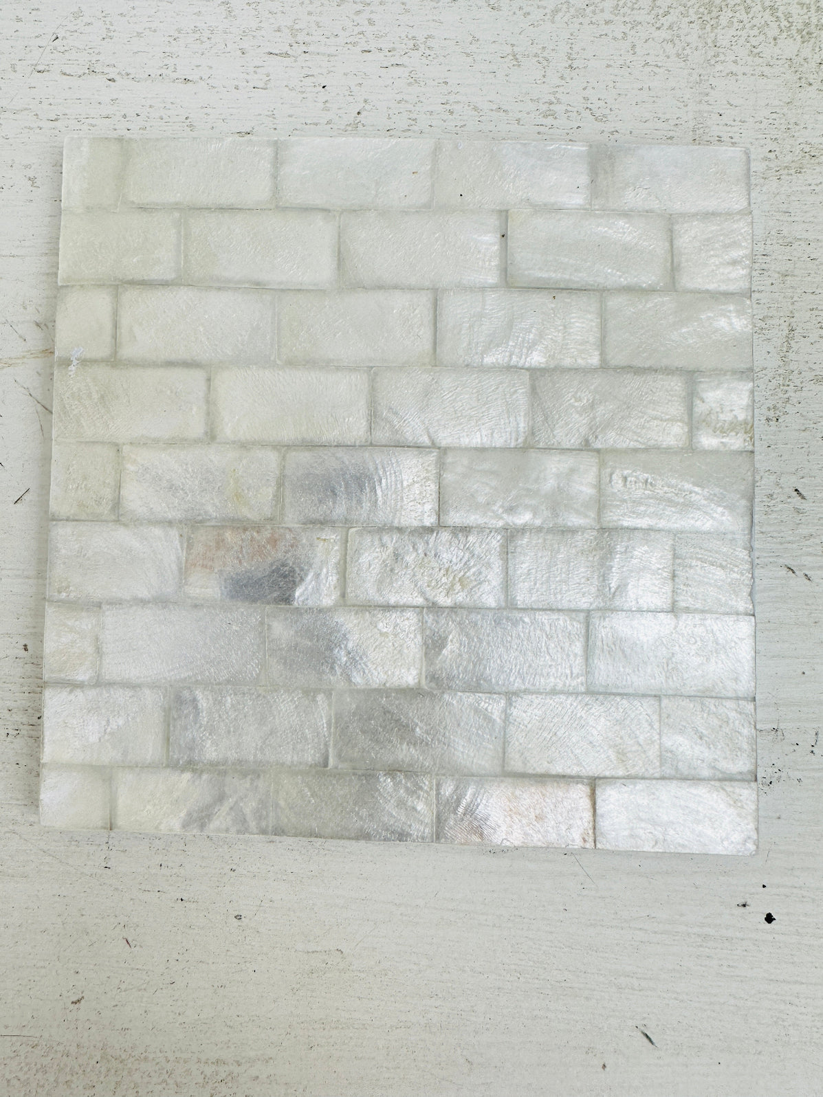 Single Shell Coaster - White Brick | The Red Gecko | Handmade– The Red ...